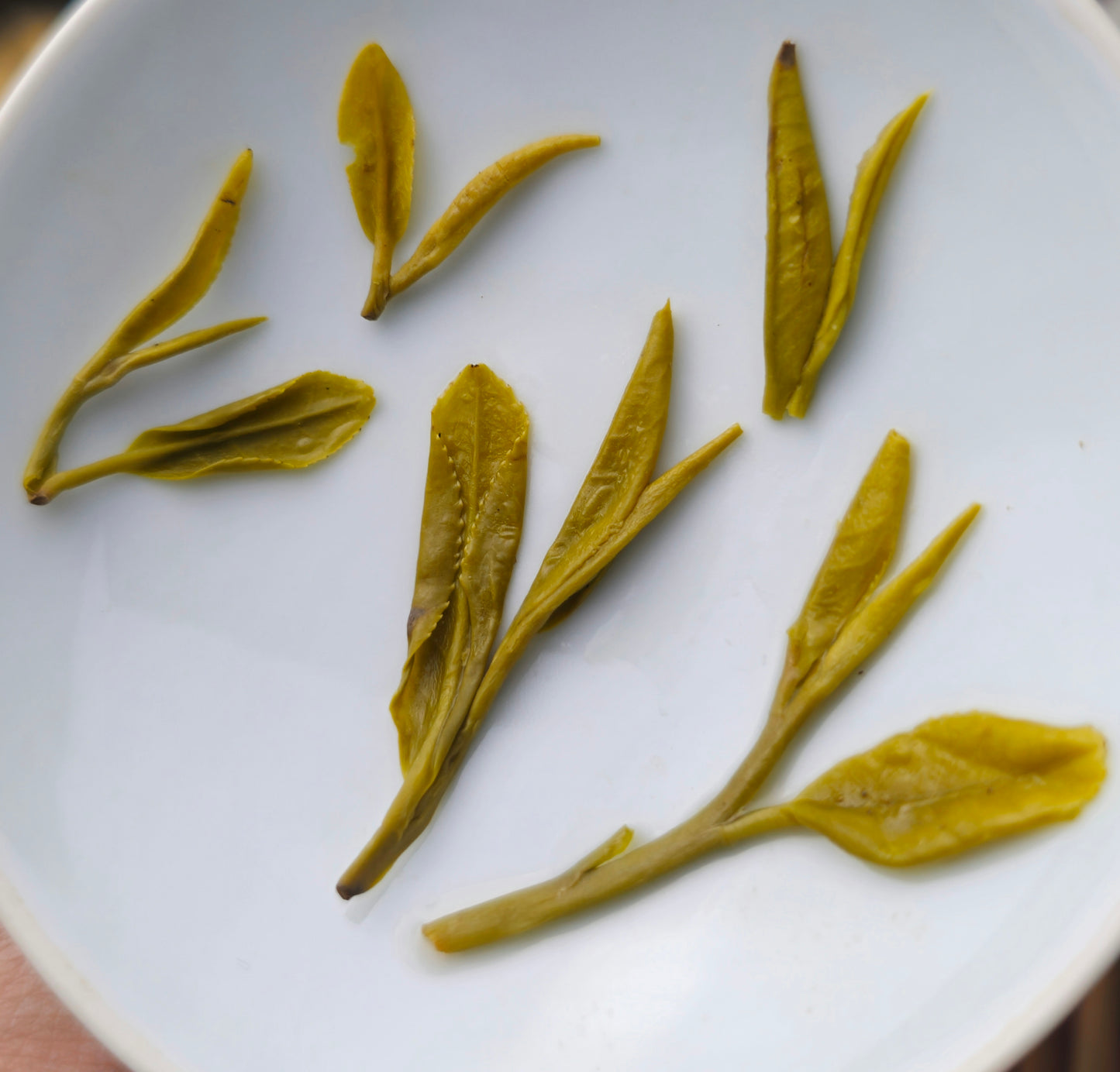 2026 Longjing Green Tea 50g