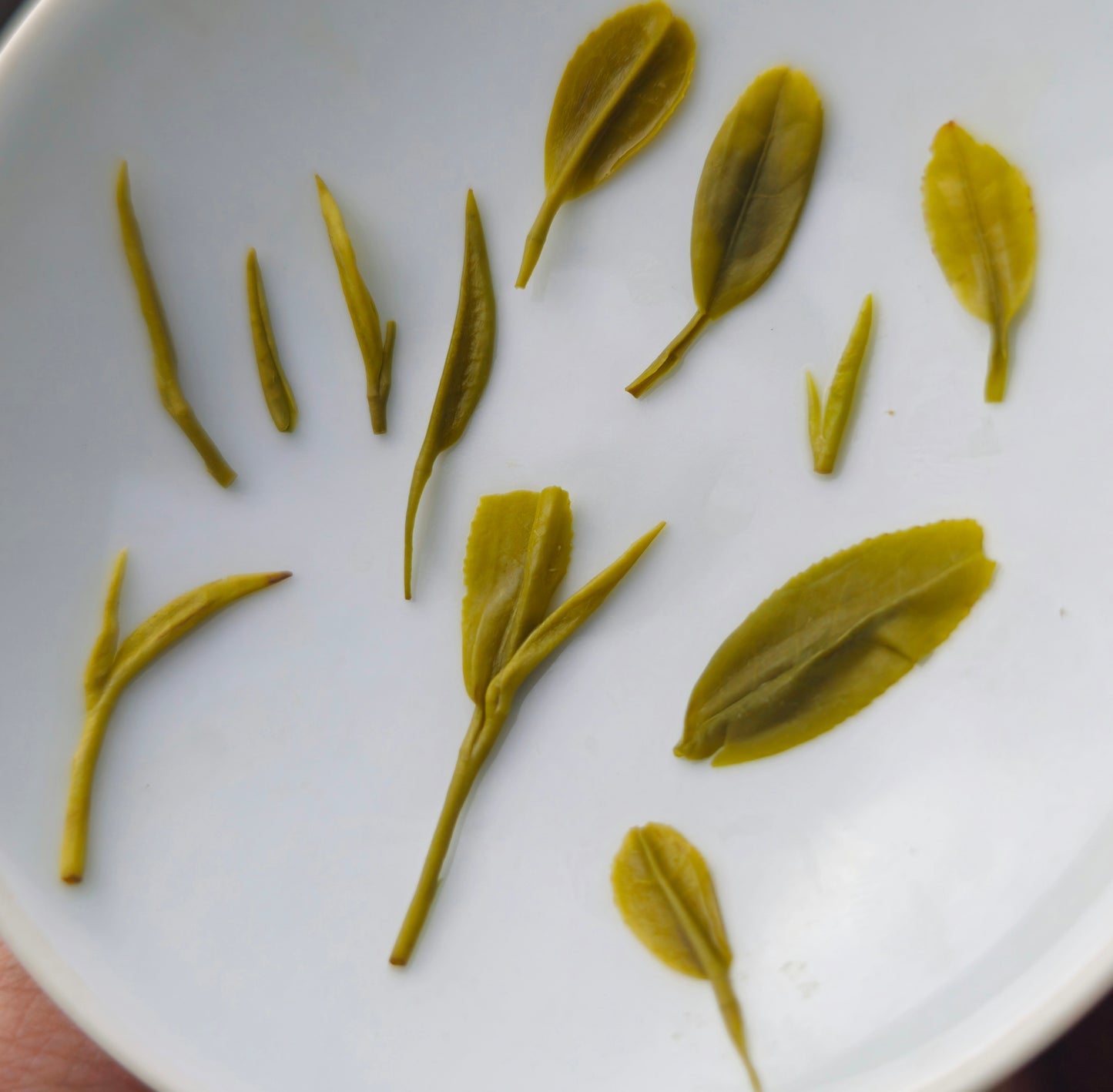 2026 Yulu Green Tea 50g