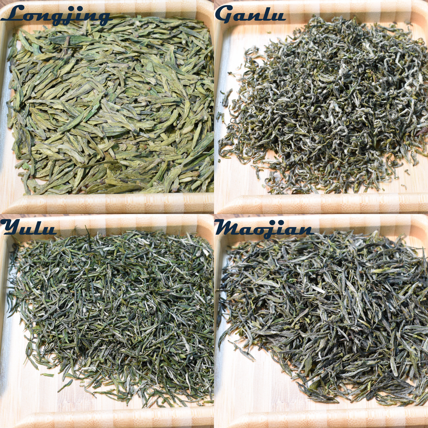 2025 Green Tea Sampler