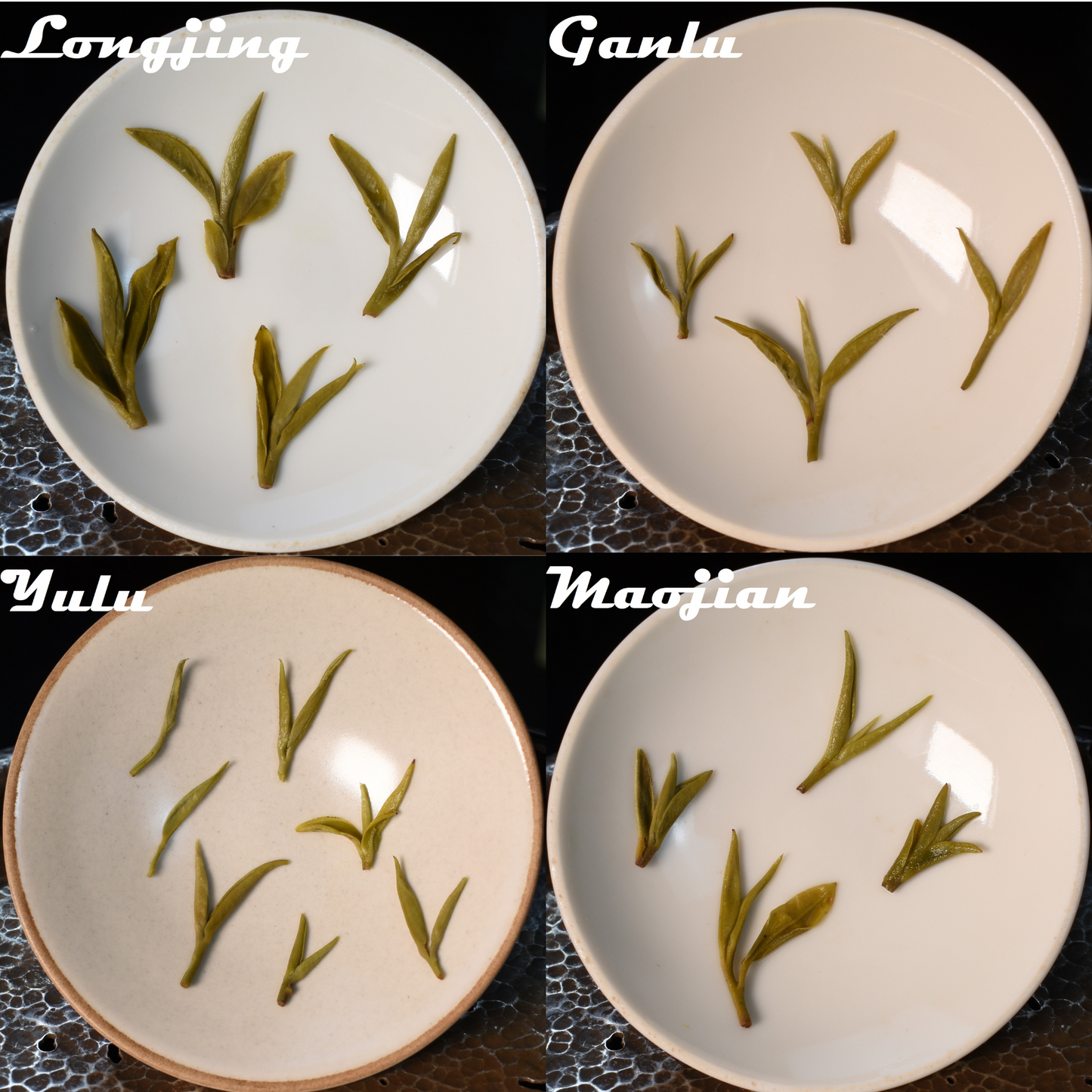 2025 Green Tea Sampler