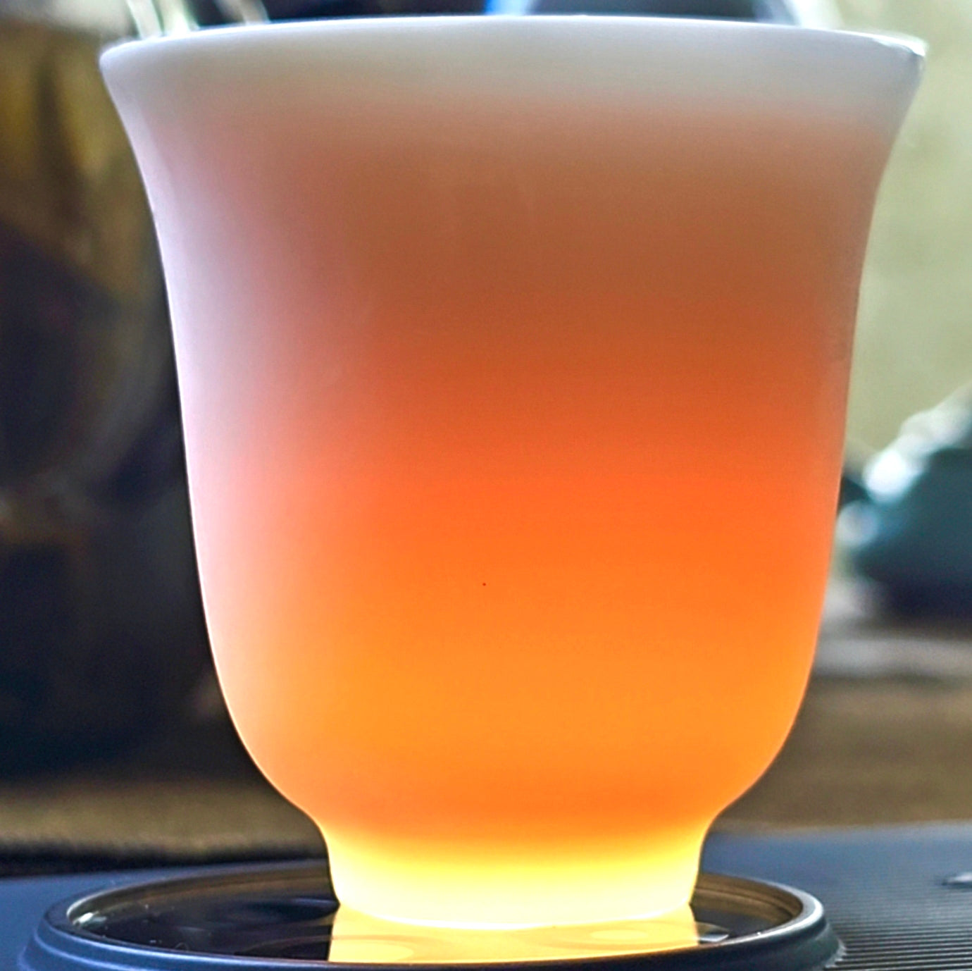 Tulip Teacups 5-Pack