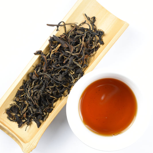 2023 Jingmai Ancient Tree Red Tea